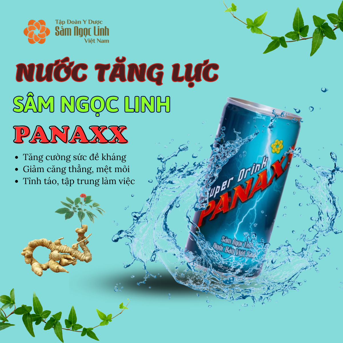 Nước tăng lực sâm Ngọc Linh PanaxX